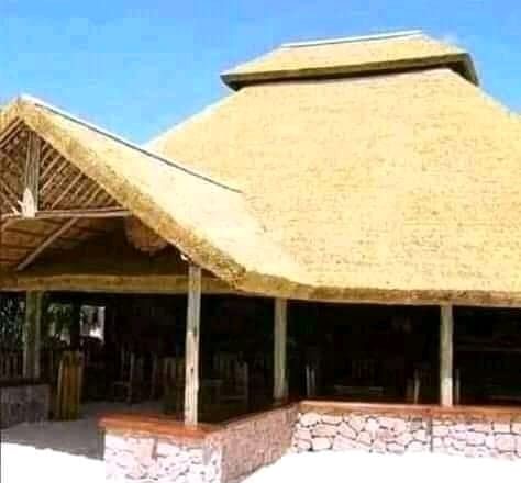 Thatch lapa