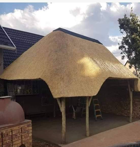 Thatch lapa in a garden