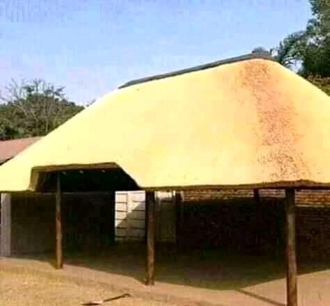 Large thatch lapa under construction